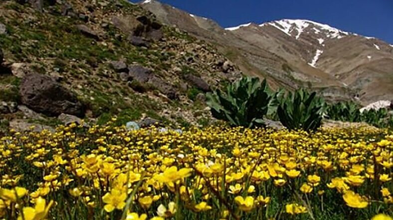 طبیعتگردی در دشتهای شمال تهران تجربه کنید