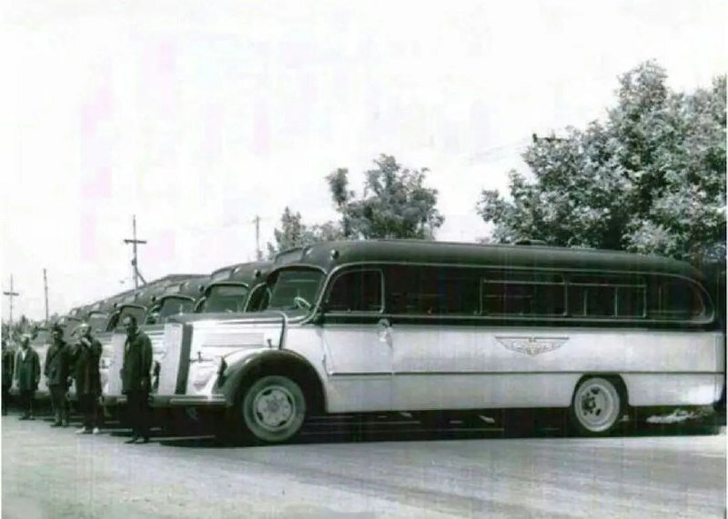 جولان اولین اتوبوس‌های فرنگی در پایتخت | کرایه هر مسافر ۳شاهی