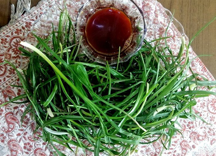 از این گیاه بهاری چه می دانید؟ | فقط ۴ ماه برای خوردن شنگ فرصت دارید