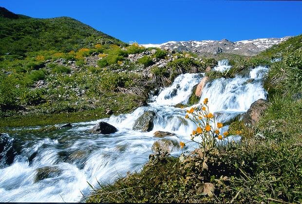 این جادههای ایران در بهار هم برفی هستند