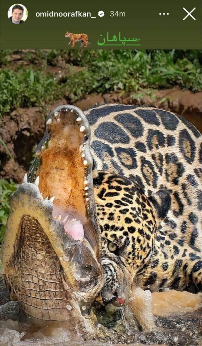 خط و نشان بازیکن سپاهان علیه پرسپولیس + عکس