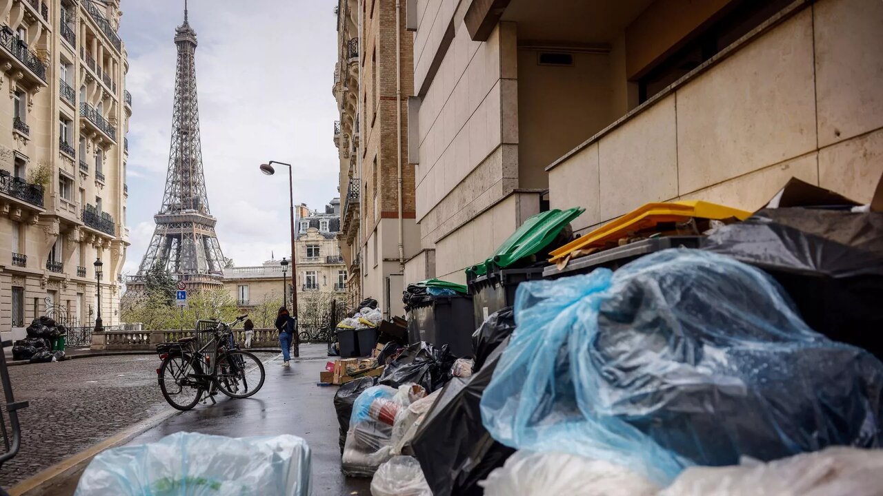آلودگی زباله موش پاریس