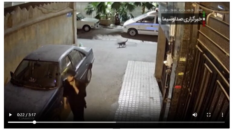 راستیآزمایی گزارش بیبیسی در مورد جزئیات مرگ نیکا شاکرمی | برای همه ادعاهای گزارش سند منتشر شده است؟!