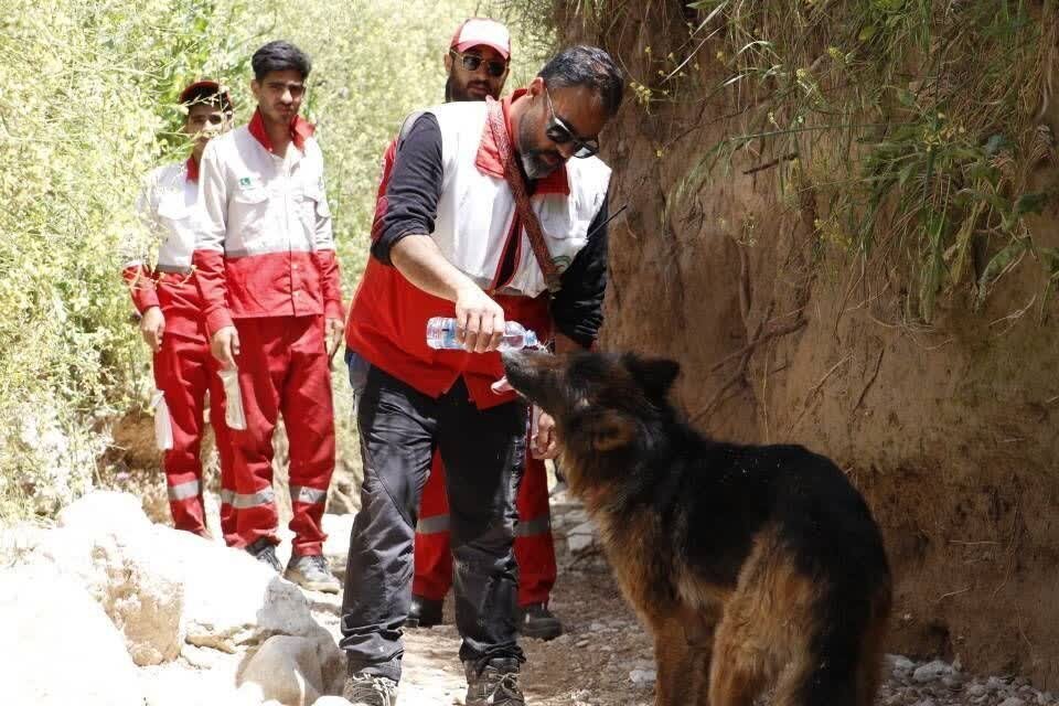 نمیتوانیم بگوییم «یسنا » ربوده شده یا نه | آخرین وضعیت پیگیری پرونده گم شدن دختر کلالهای