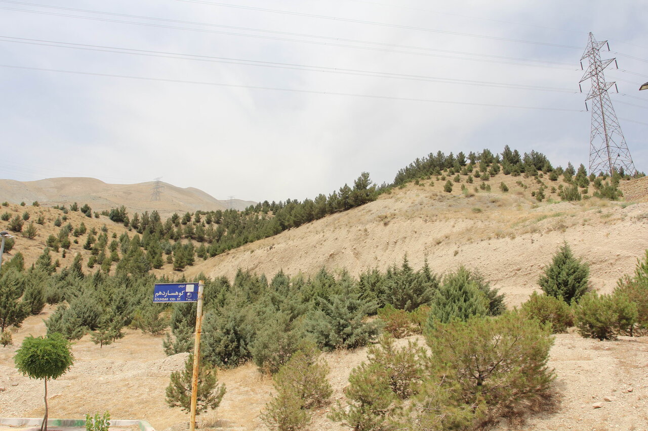 تفریح در طبیعت بکر | تماشای خرگوش و آهو در شمال سعادت آباد