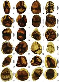 از سوسک داریوش هخامنشی تا سگ ماهی پروین اعتصامی