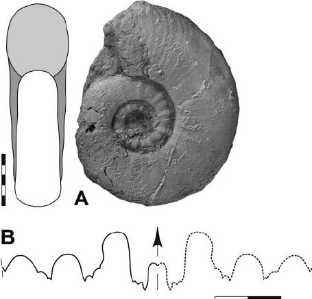از سوسک داریوش هخامنشی تا سگ ماهی پروین اعتصامی