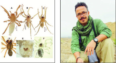 از سوسک داریوش هخامنشی تا سگ ماهی پروین اعتصامی