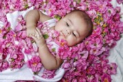 این مراسم به لطافت برگ گل برای نوزادان برگزار می‌شود| از آیین گل غلتان چه می‌دانید؟