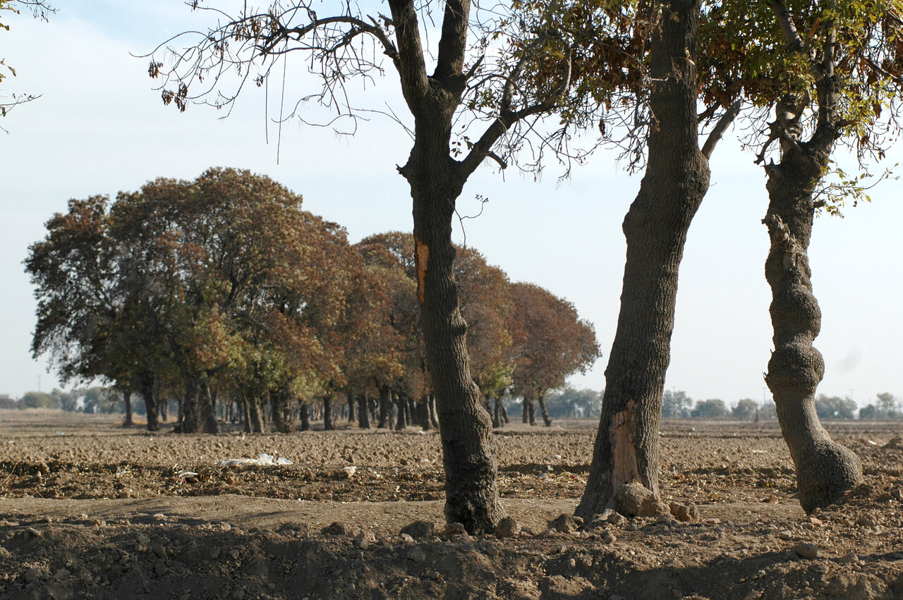 این روستاها برای تفریح نیم روزه مناسب اند | تماشای سازه های 2 هزار ساله تا طبیعت زیبا