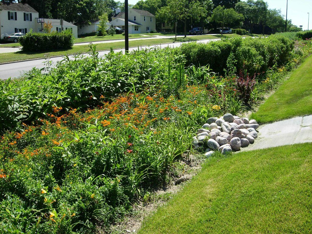 جذب آب باران برای آبیاری درختها