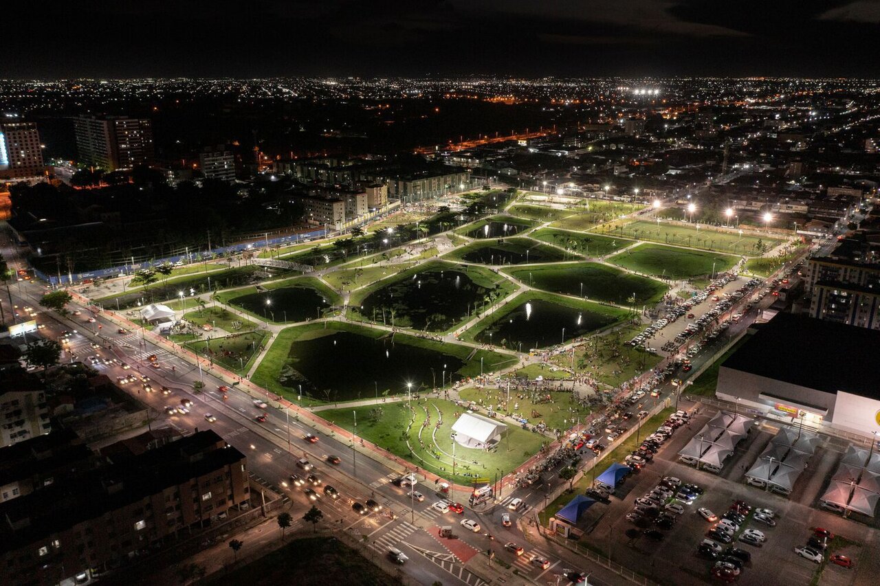 جذب آب باران برای آبیاری درختها