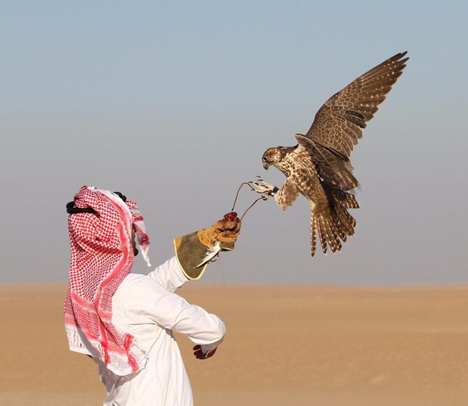 بدتر از قتلگاه فریدون کنار کجاست؟ | امنترین کشور برای پرندگان مهاجر اینجاست