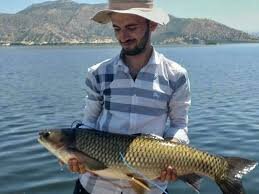 ماهیگیری با دست و سبد در دریاچه زریبار + فیلم | برخی شهروندان تا ۵۰ کیلو ماهی صید می‌کنند!