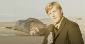 روزی که از آسمان نهنگ می بارید! | یک اتفاق شگفتانگیز که هنوز جذابیت دارد + عکس