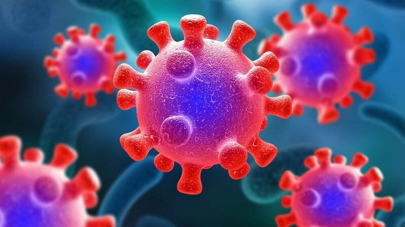 ویروس کرونای ۱۴۰۳ با موج کوچک میآید | زیر سویه فلیرت چه ویژگیهایی دارد؟