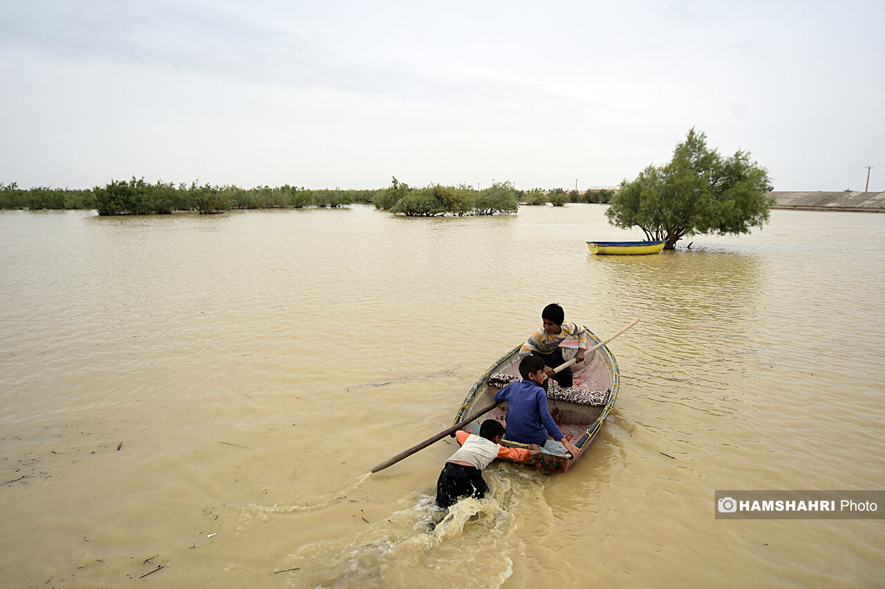 تالابهای ایران دوباره جان گرفتند + تصاویر