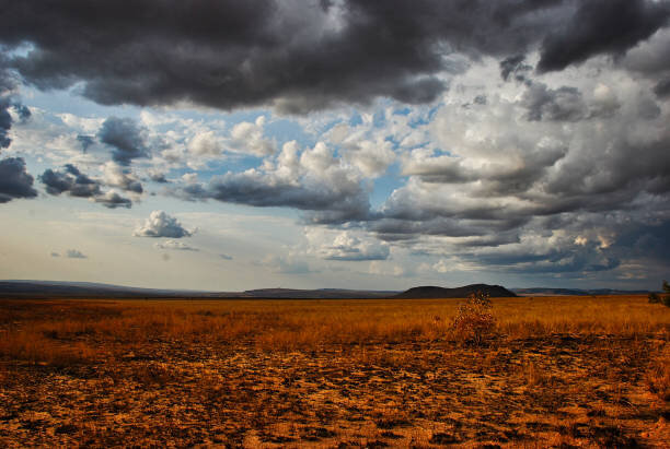 تغییرات آب و هوایی چشمگیر آفریقا در ۵۰۰۰ سال پیش | هشدار جدی برای آینده