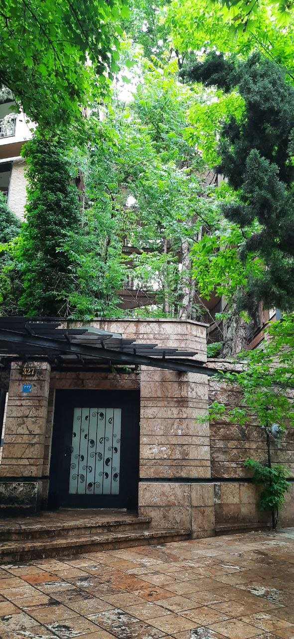 ببینید| رشد درختان چنار از میان سازه های بتنی و آهنی|تلفیق شگفت انگیز آجر و سرو