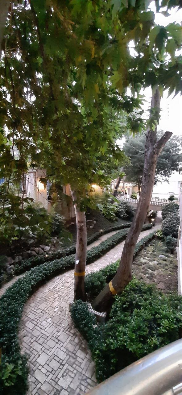 ببینید| رشد درختان چنار از میان سازه های بتنی و آهنی|تلفیق شگفت انگیز آجر و سرو