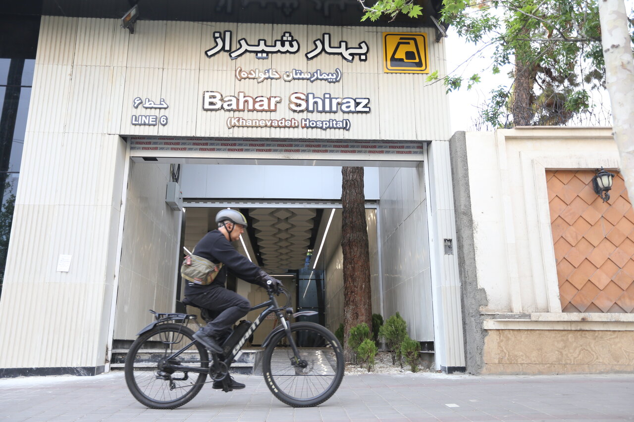 ببینید| رشد درختان چنار از میان سازه های بتنی و آهنی|تلفیق شگفت انگیز آجر و سرو