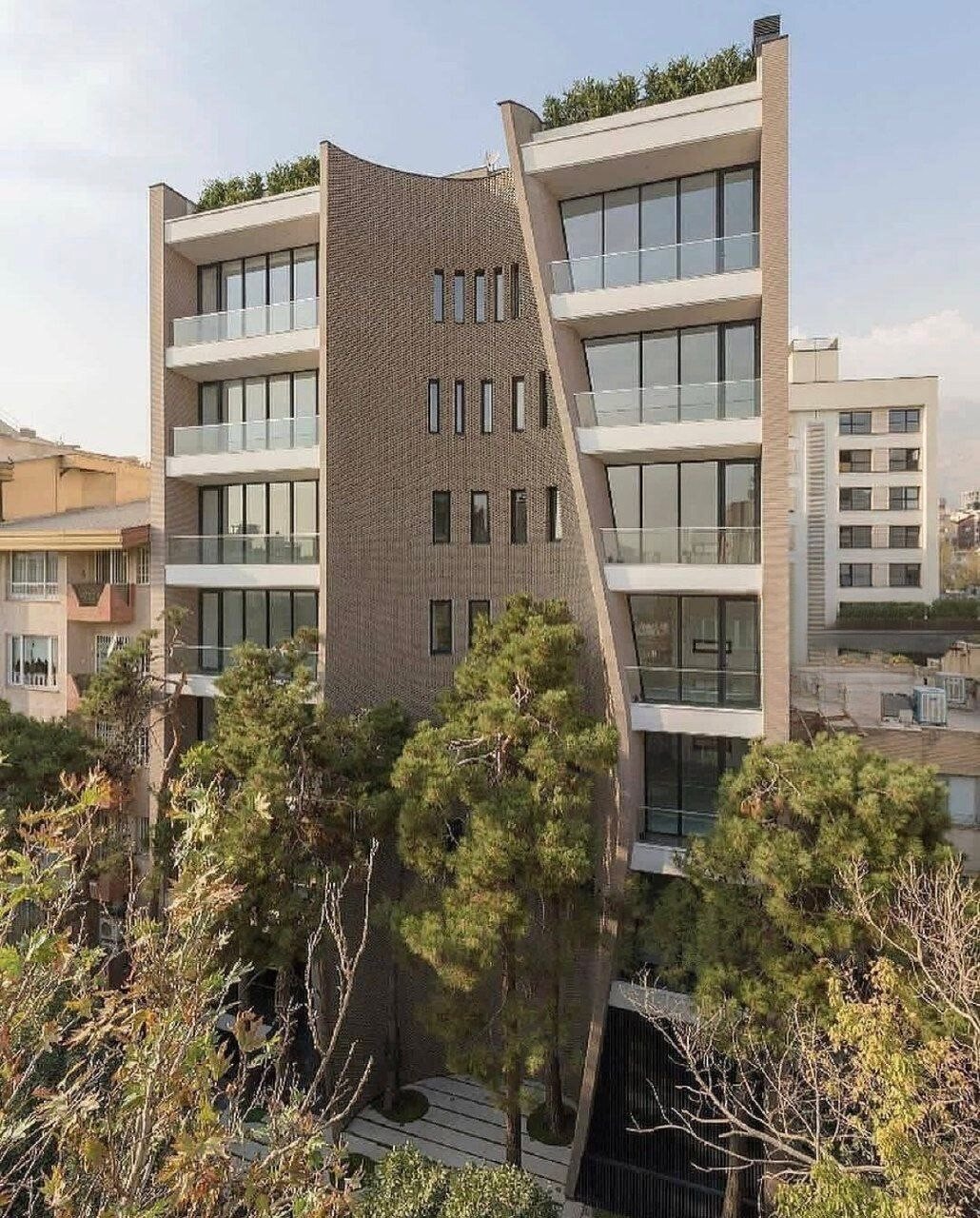 ببینید| رشد درختان چنار از میان سازه های بتنی و آهنی|تلفیق شگفت انگیز آجر و سرو