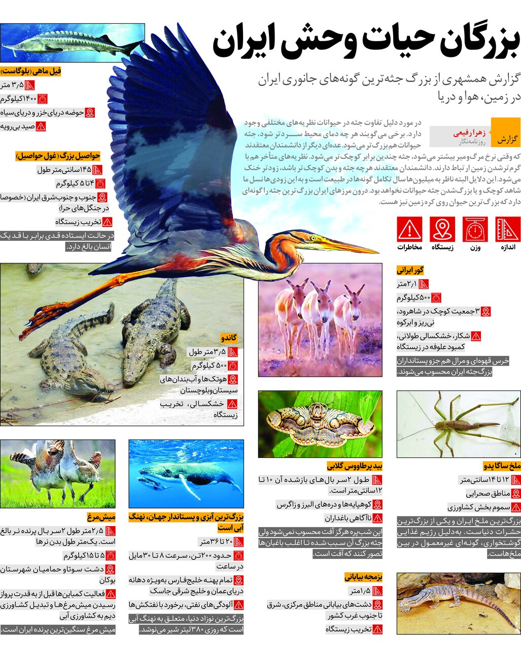غول های ایران کجا زندگی می کنند؟