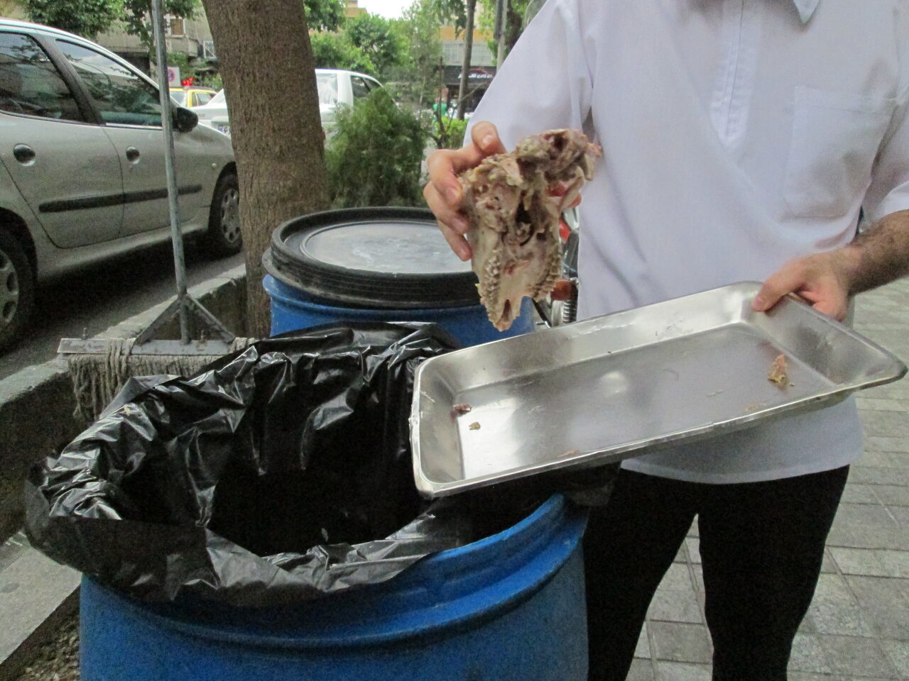 بازار استخوان کلهپزیها سکه است