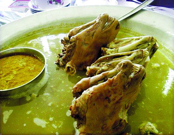 بازار استخوان کلهپزیها سکه است