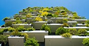 به دنبال ترویج ساختمان‌های سبز