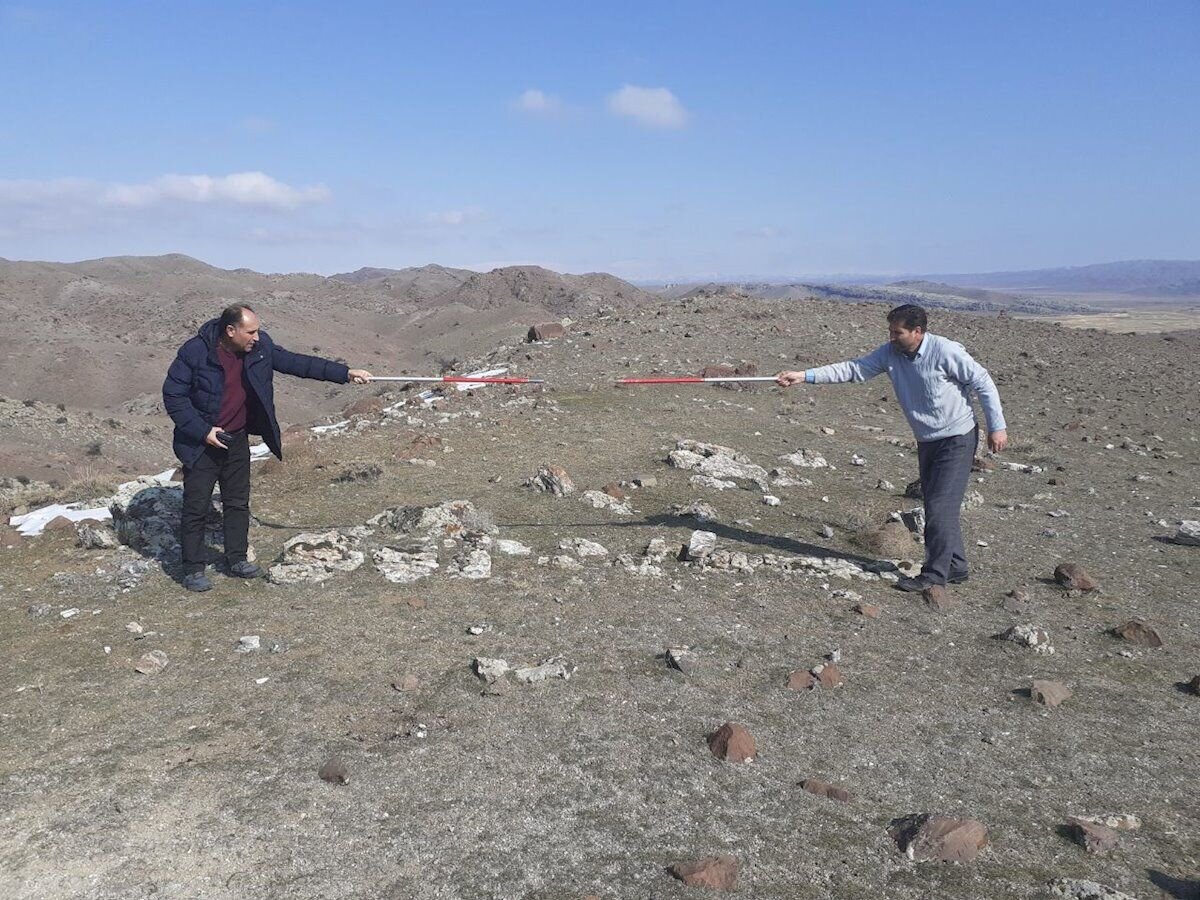 اسرار درختان سنگی ۵۰۰ هزار ساله