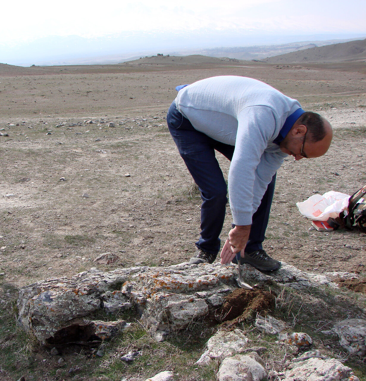 اسرار درختان سنگی ۵۰۰ هزار ساله