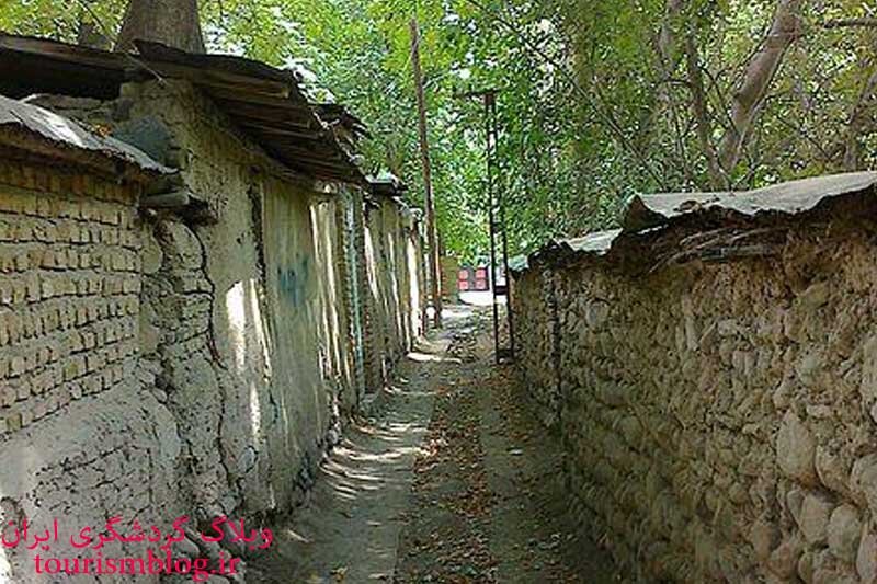 روستاگردی در فصل برگ‌ریزان