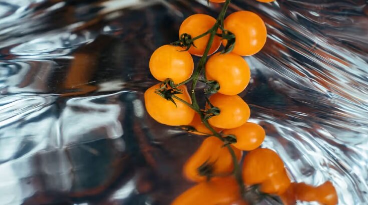 رژیم غذایی کتوژنیک استرس را کاهش میدهد