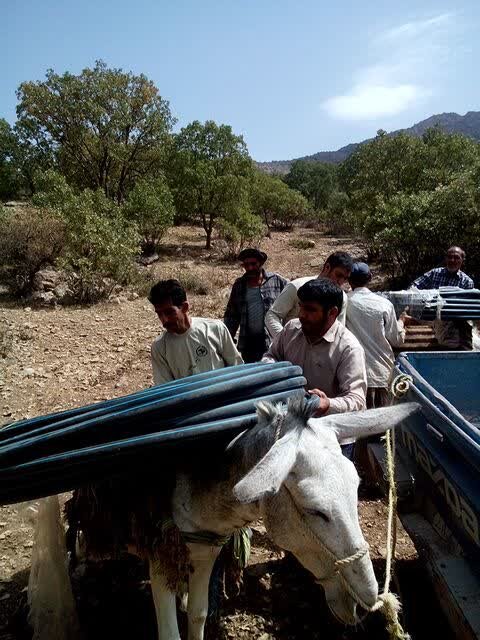 این معلمان بنایی و نقاشی می کنند