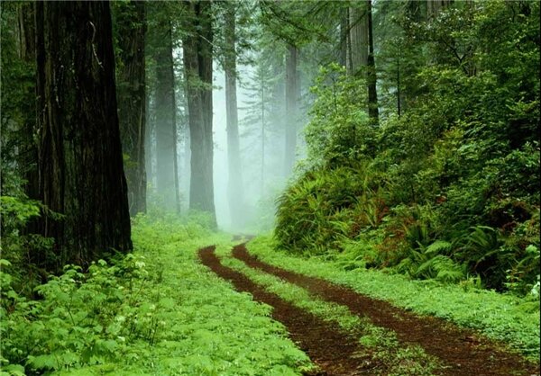 چند پیشنهاد جذاب برای یک سفر هیجان انگیز در ماه آخر بهار | خرداد ماه برای سفر کجا بریم؟