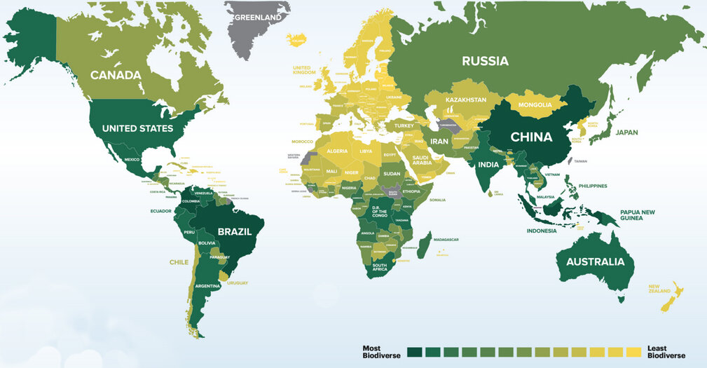 تنوع زیستی ایران چقدر است؟ | آیا رتبه ۴۸ در تنوع زیستی برای ایران شگفت انگیز است؟
