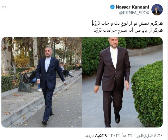 دلنوشته سخنگوی وزارت خارجه برای امیرعبداللهیان با این عکس