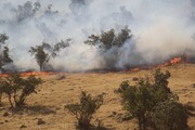 اولین تصاویر از آتش سوزی مراتع سرپل ذهاب | ویدئو