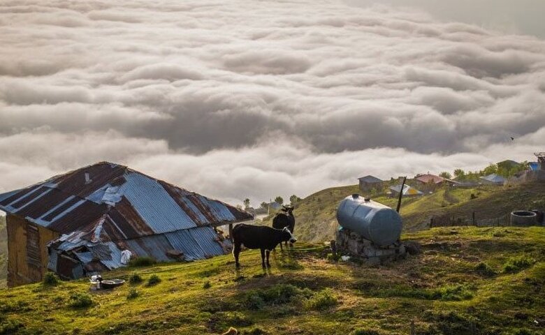مسافرت دو روزه کجا بریم ؟ | راهنمای سفر به بام مازندران ؛ جایی که اقیانوس ابر حیرتزدهتان میکند