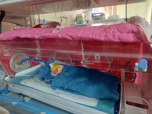 تولد ۵ قلوها در تبریز + عکس