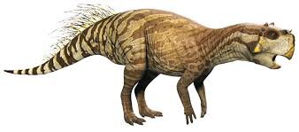 این فسیل چینی، تکامل پوست دایناسورهای پردار را نشان می دهد