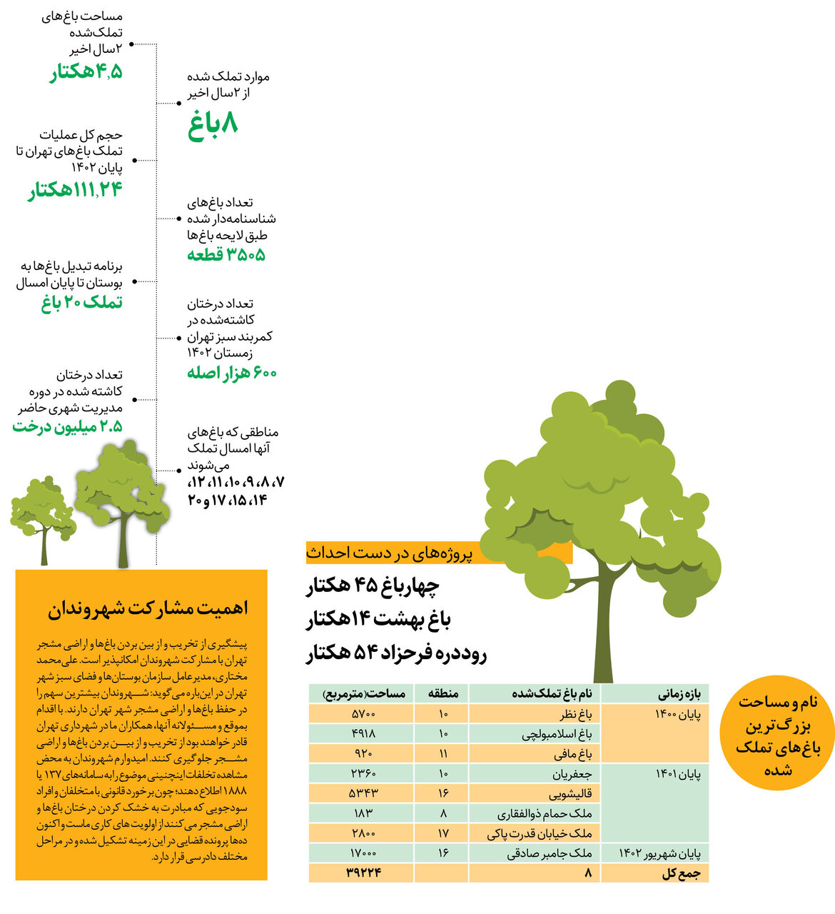 دروغی بزرگ به نام قطع درختان قیطریه