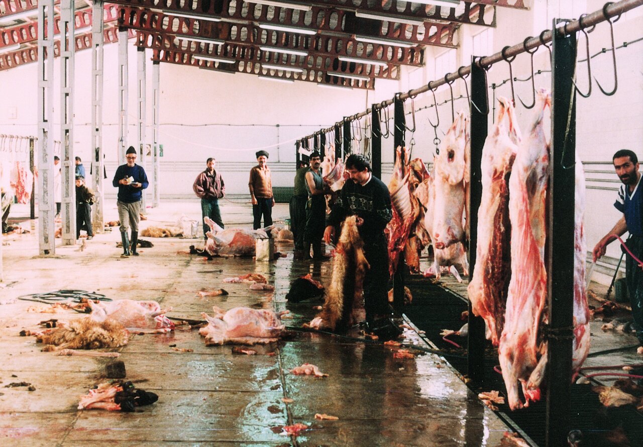 سلاخخانهای که قطب فرهنگی و هنری تهران شد