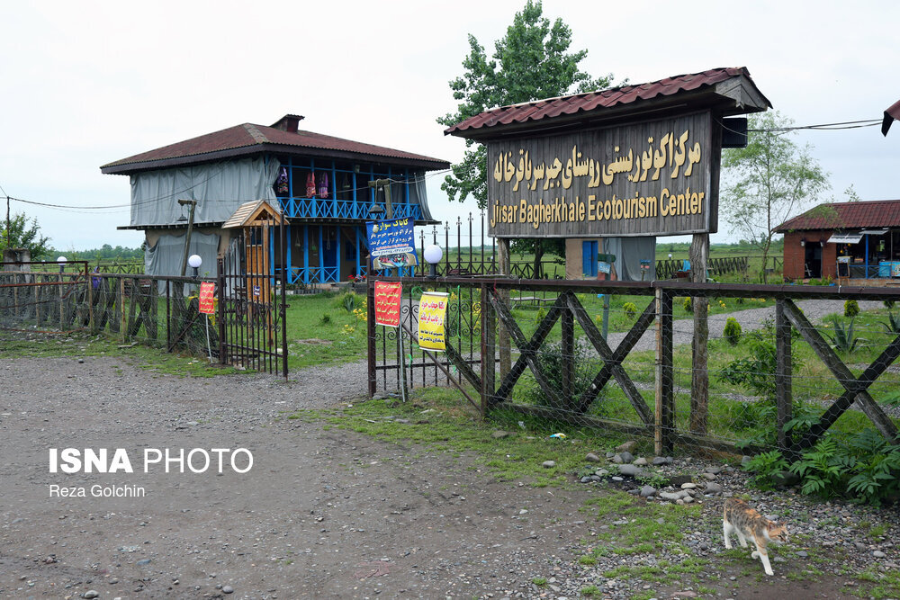 تصاویر جذاب از جیرسرباقرخاله ؛ روستایی بین رشت و انزلی | جیرسرباقرخاله کجاست ؟