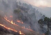 آتش سوزی ۵۰ هکتار از جنگل‌ها و مراتع منطقه گردشگری کهگیلویه و بویراحمد | شعله‌های آتش را ببینید