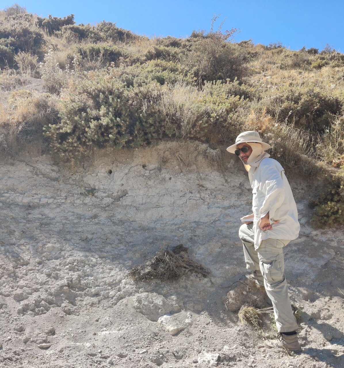 کاشف ردپای دایناسورها در ایران هستم