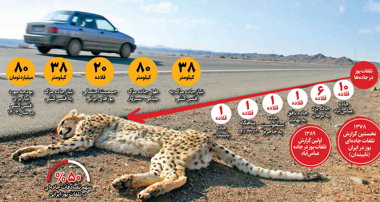 ۵۰میلیارد اعتبار کاغذی برای یوزهای ایرانی