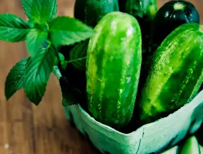 راه حلهای طبیعی برای فرار از گرما و درمان آفتاب سوختگی