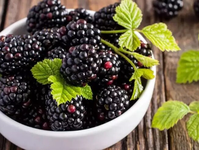 ۵ غذای سیاه که وزن شما را کاهش میدهند